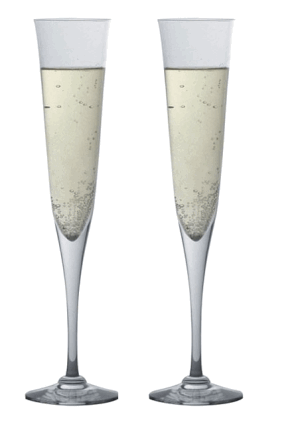 DARTINGTON CRYSTAL CHAMPAGNE COLLECTION CELEBRATION FLUTE